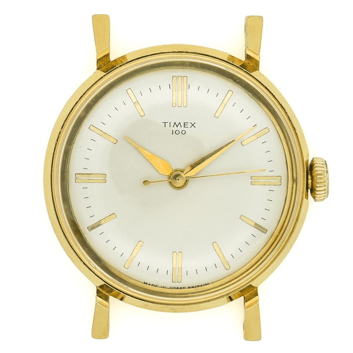 Timex Timex 100
