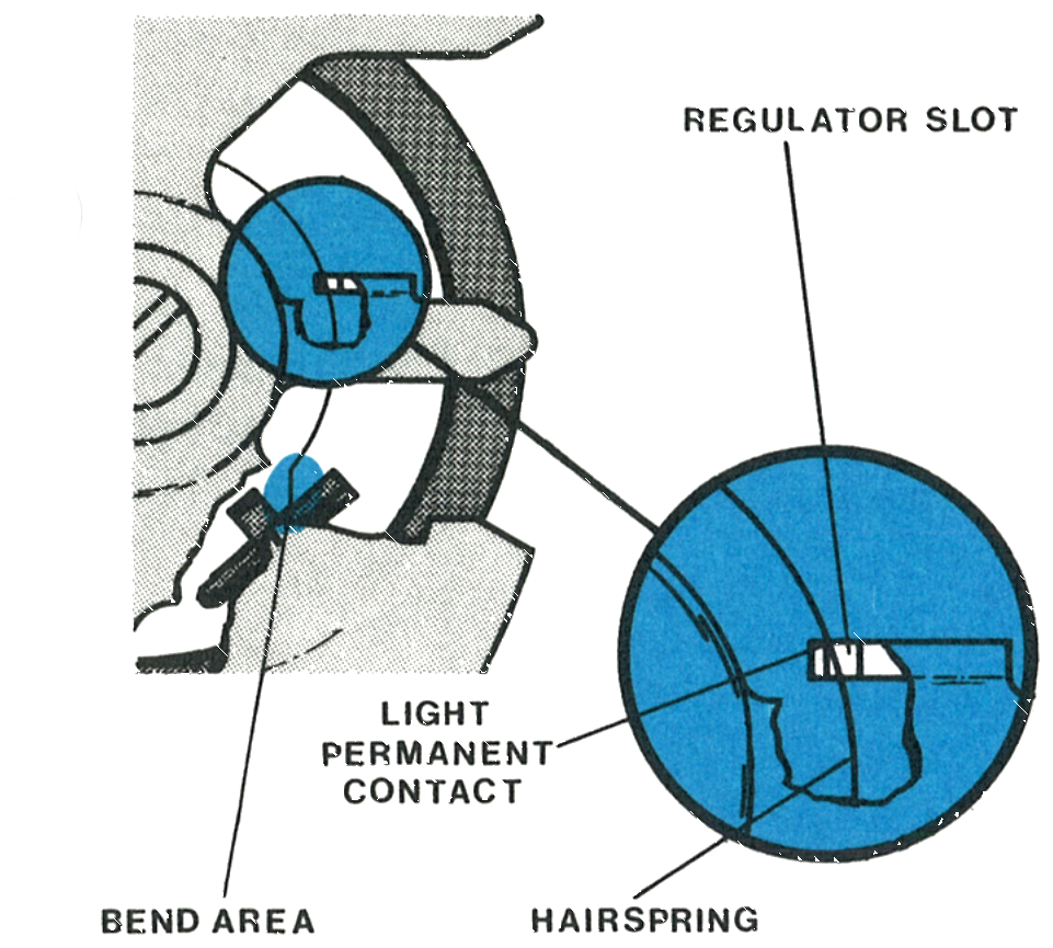 The hairspring against the regulator slot, showing the bend area