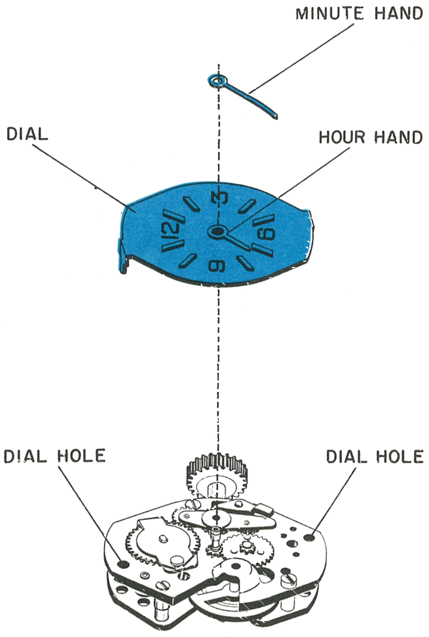 The minute hand, hour hand and dial