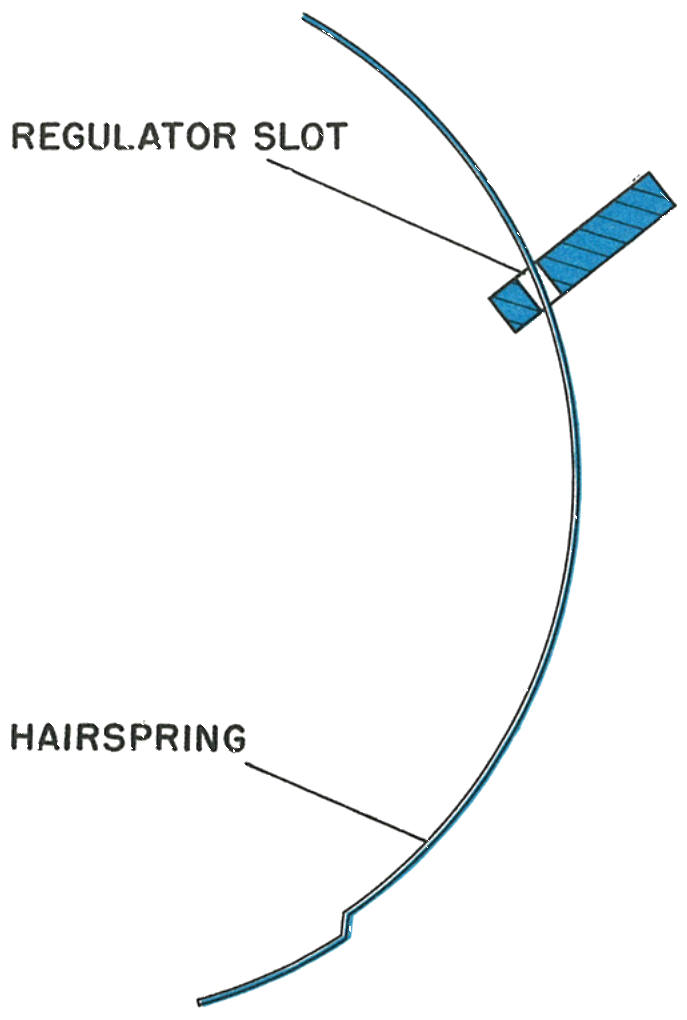 The hairspring in the regulator slot