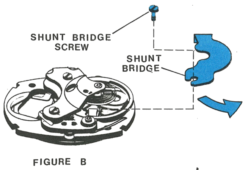 The shunt bridge and its screw