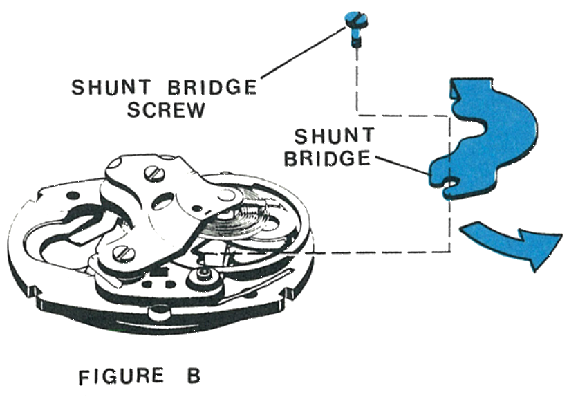 The shunt bridge and shunt bridge screw