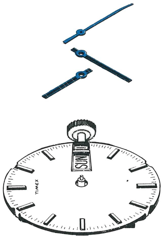 The hands and dial removed from the movement