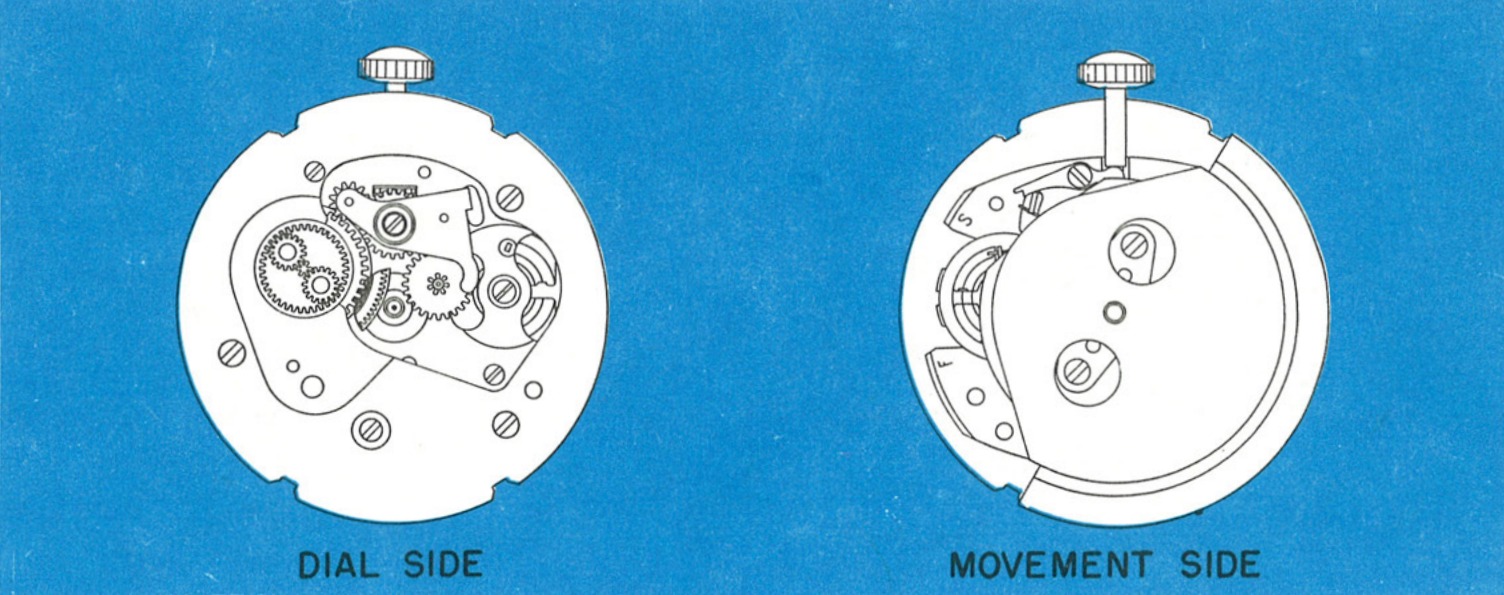 The Model 31 movement, dial side and movement side