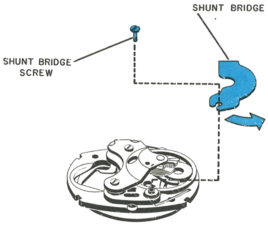 The shunt bridge and its screw