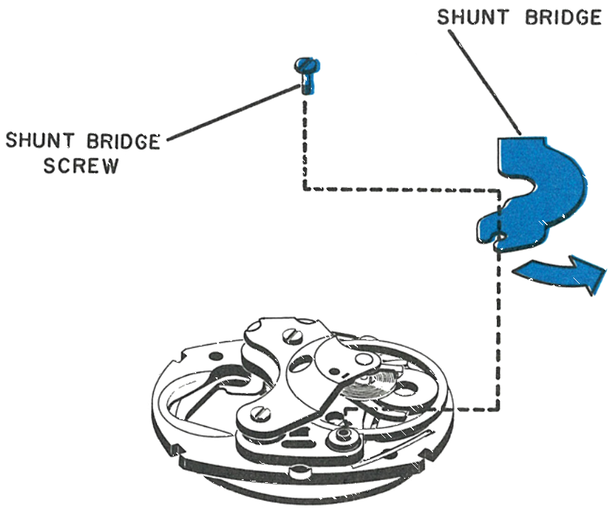 The shunt bridge and its screw