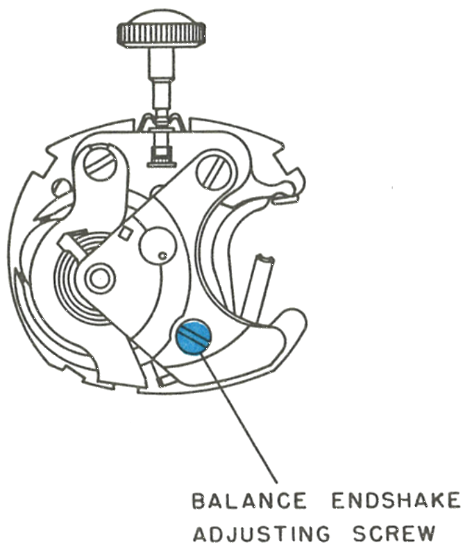The balance endshake adjusting screw