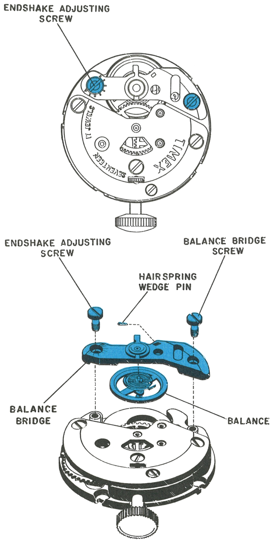 Removing the balance bridge and balance, showing the endshake adjusting screw